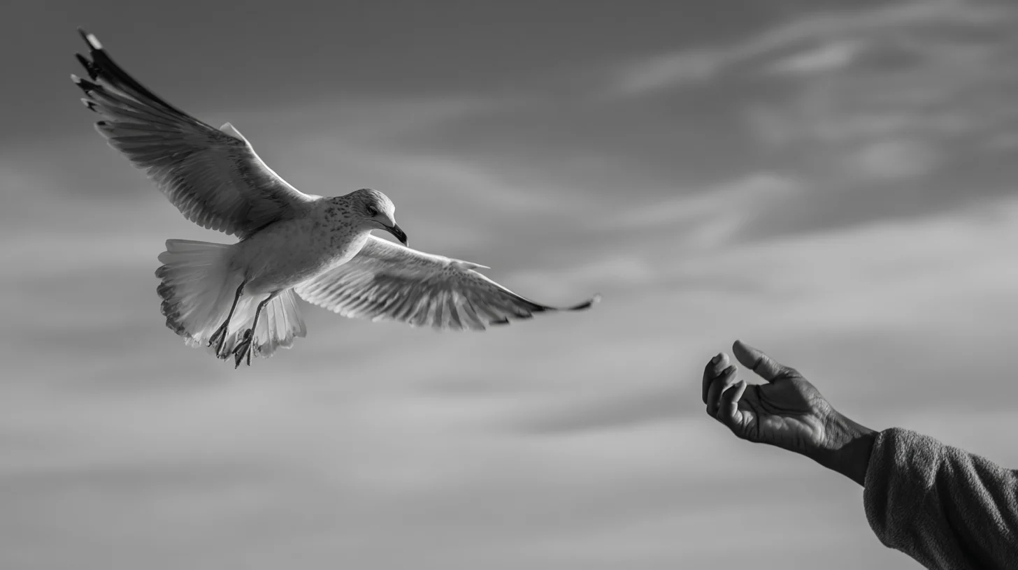 Seagull