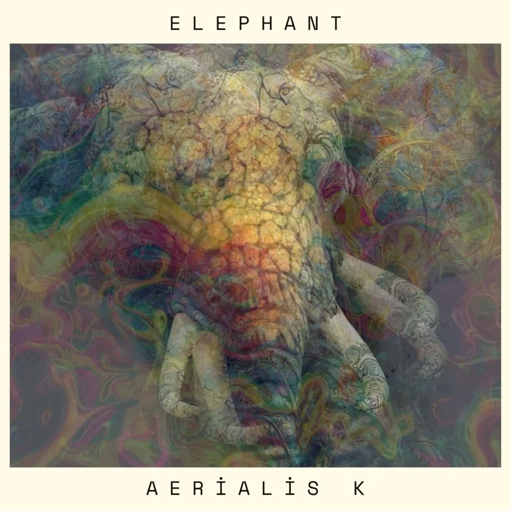 Album cover: Elephant